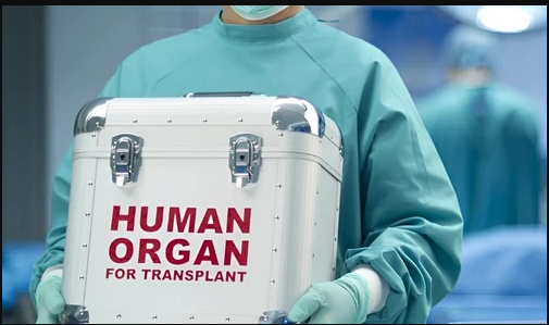 "Mighty-health"
