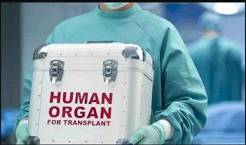 "Mighty-health"